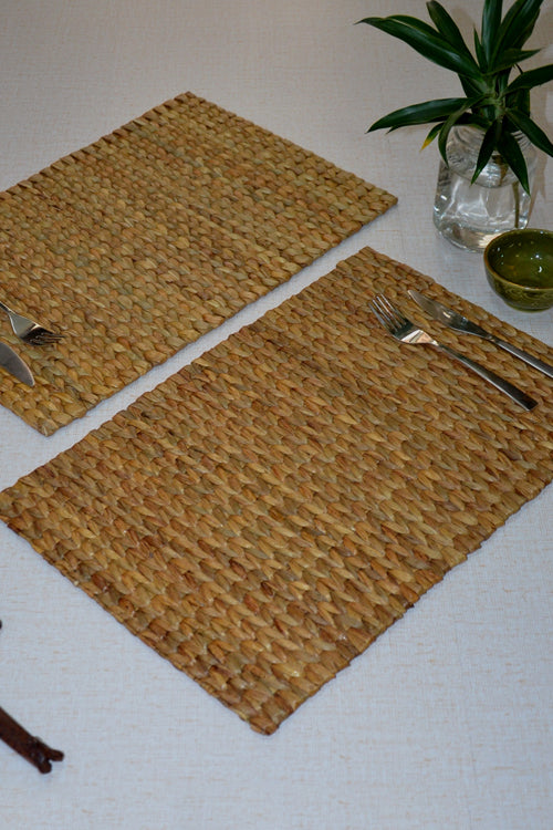 Dharini Water Hyacinth Placemats (Set of 2)