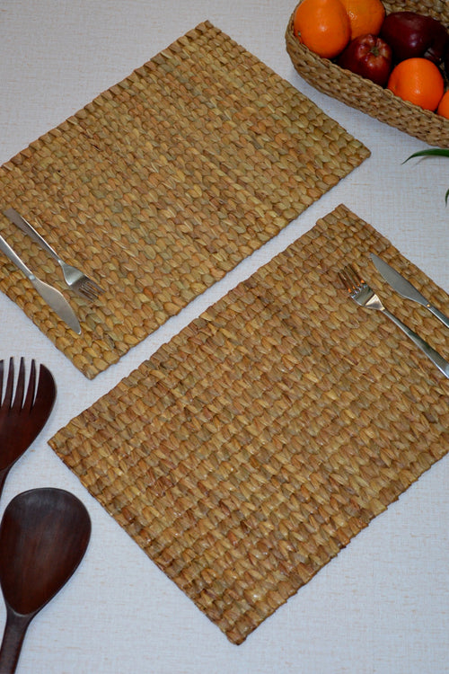 Dharini Water Hyacinth Placemats (Set of 2)