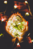 Samoolam Handmade Home Decor LED String Lights ~ Green Lily Bougainvillea