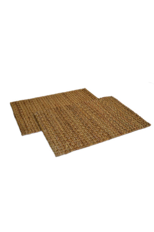 Dharini Water Hyacinth Placemats (Set of 2)